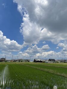 7月のお休みについて|安城市の松並木療院(マッサージ・整体・鍼灸・美容鍼) | プライベート治療院 | オーダーメイド治療専門